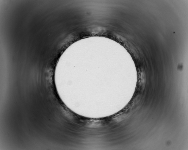 X0000103440664200810241122