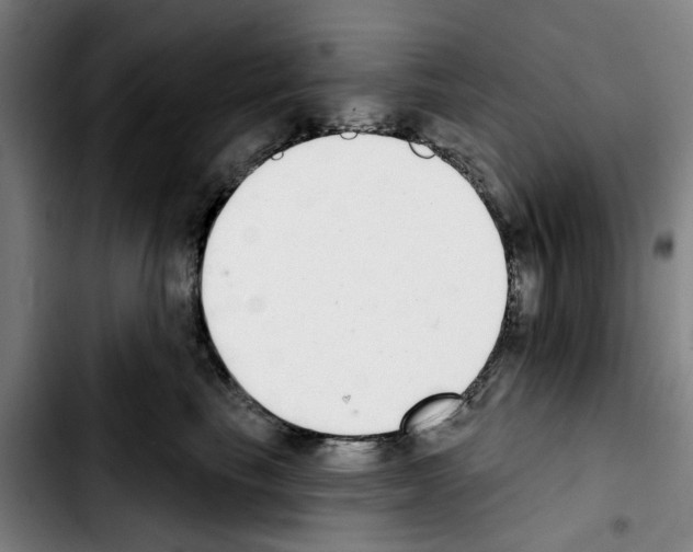 X0000103440665200810241122