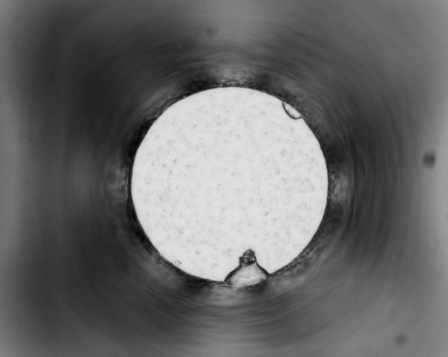 X0000103440666200810241122