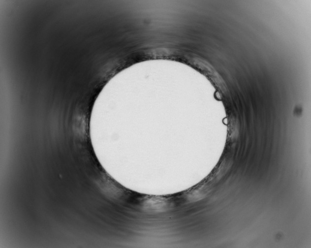 X0000103440669200810241123