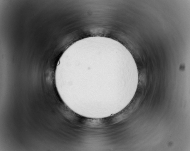 X0000103440671200810241123