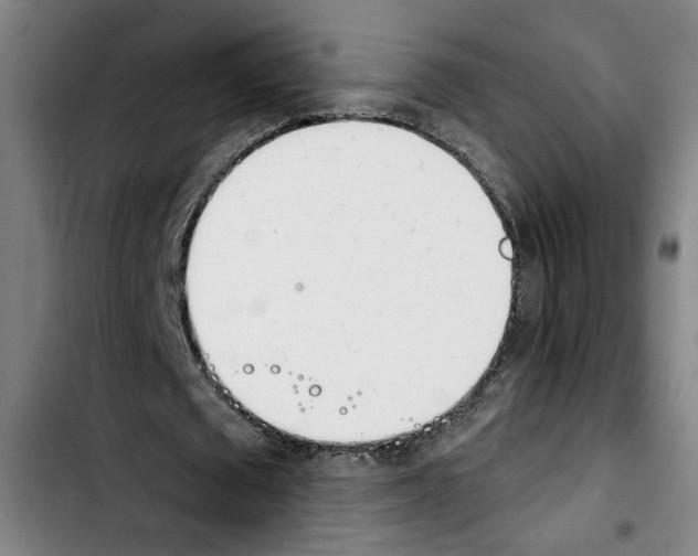 X0000103440673200810241122
