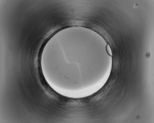 X0000103440674200810241122