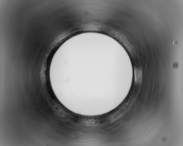 X0000103440675200810241122