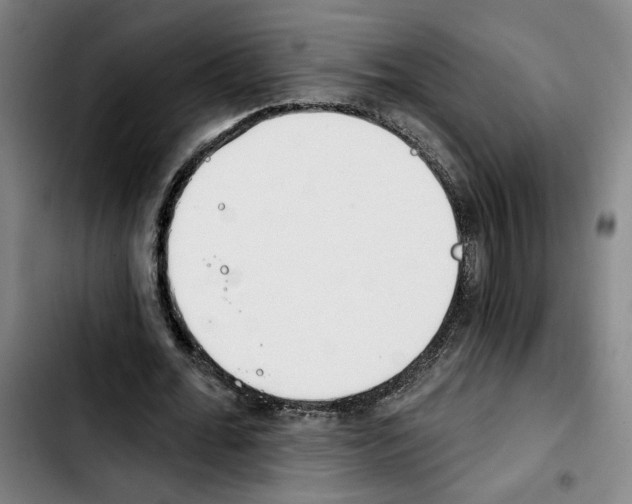 X0000103440676200810241122