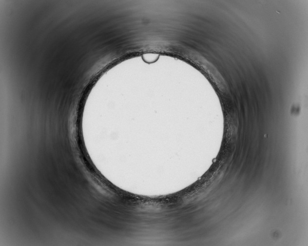 X0000103440677200810241122