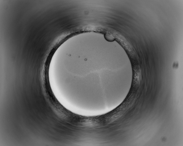 X0000103440678200810241122