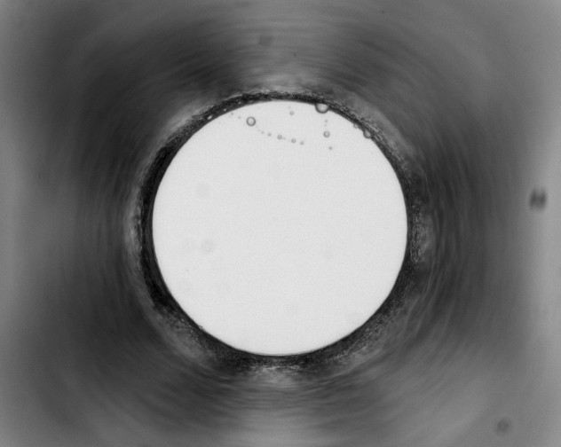 X0000103440680200810241122