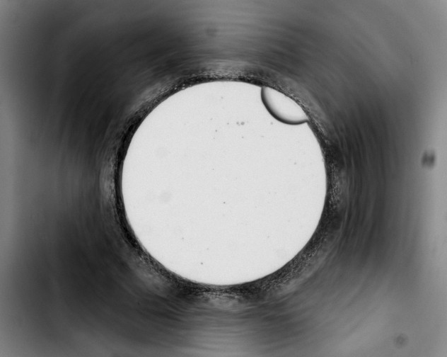 X0000103440681200810241122