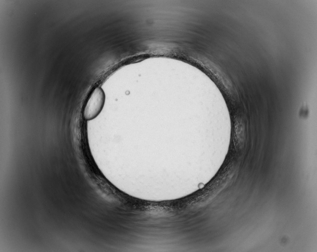 X0000103440682200810241122