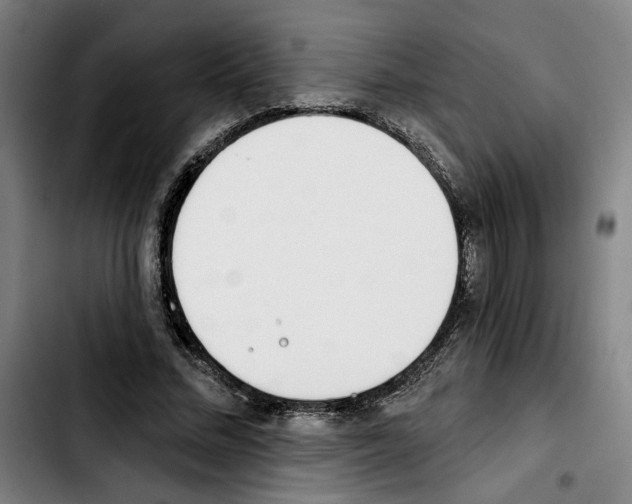 X0000103440684200810241122