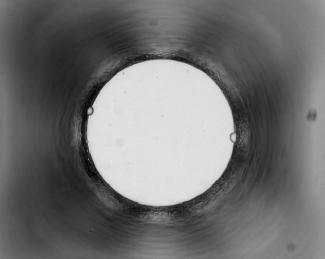X0000103440685200810241122