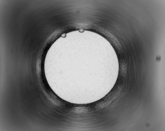 X0000103440686200810241122