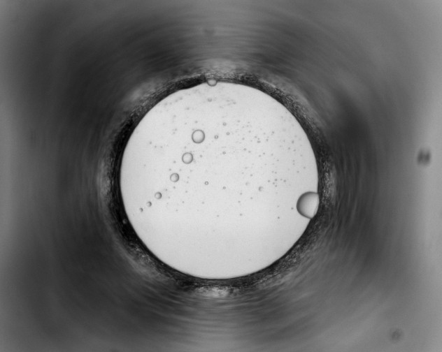 X0000103440687200810241122