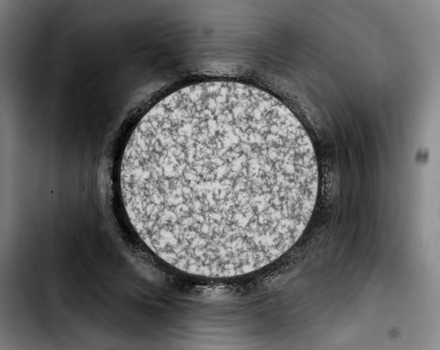 X0000103440688200810241122