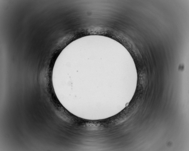 X0000103440690200810241122