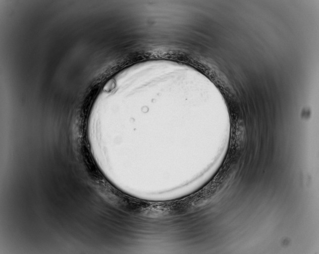 X0000103440691200810241122