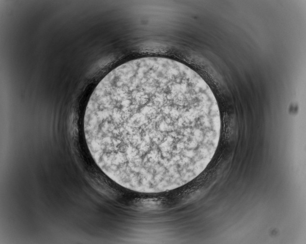 X0000103440692200810241122