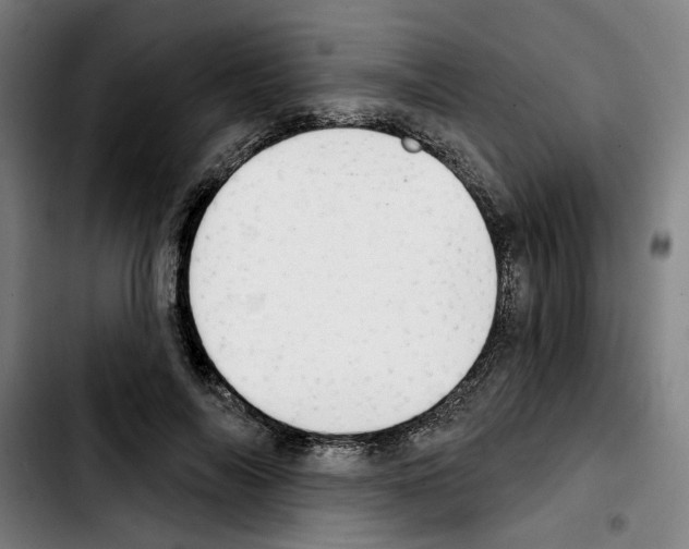 X0000103440694200810241122