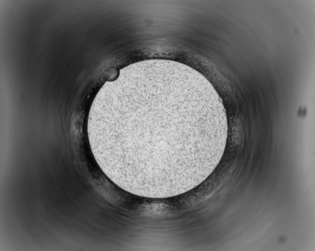 X0000103440695200810241122