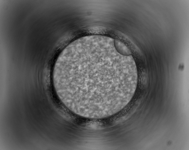X0000103440696200810241122