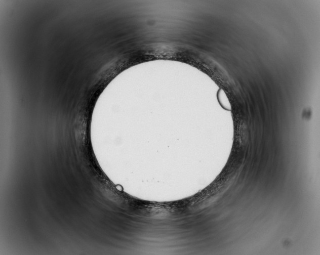 X0000103440697200810241122