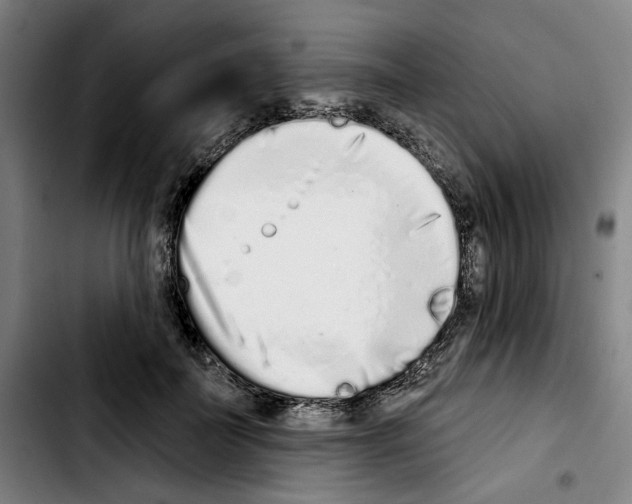 X0000103440699200810241122