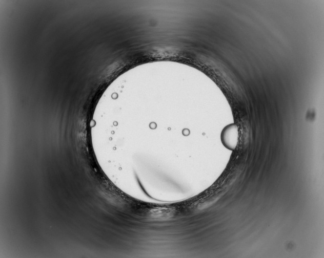 X0000103440700200810241122
