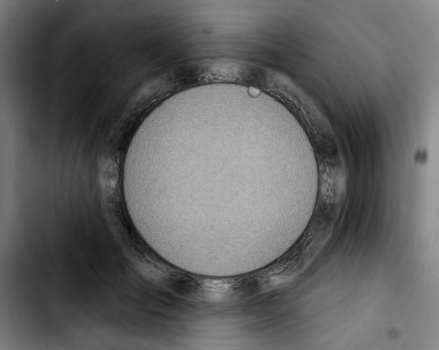 X0000103440701200810241121