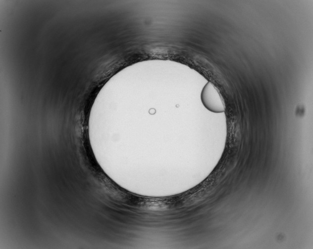 X0000103440702200810241121
