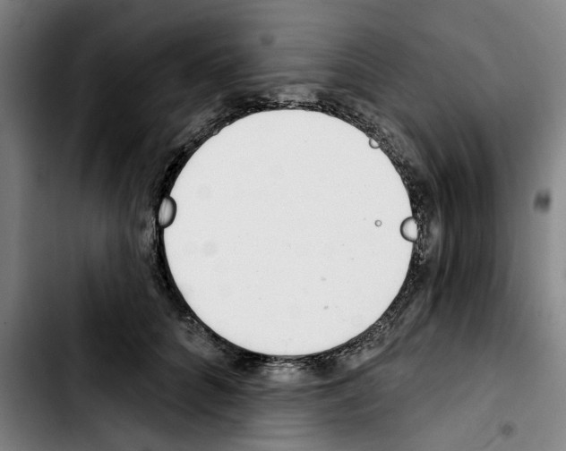X0000103440704200810241121