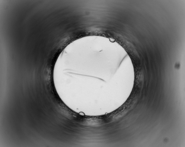 X0000103440708200810241121
