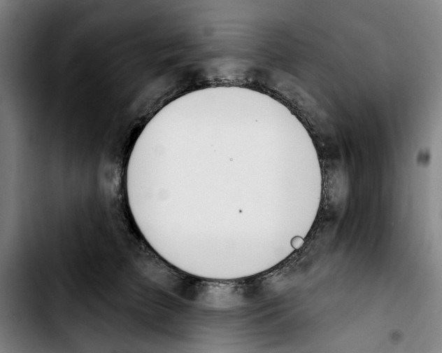 X0000103440709200810241121