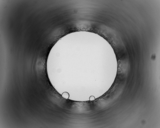X0000103440713200810241121