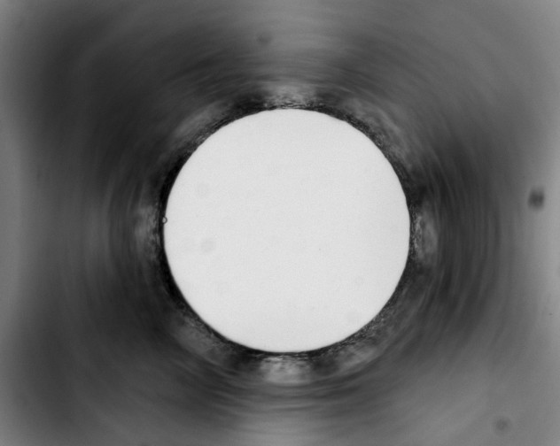 X0000103440714200810241121