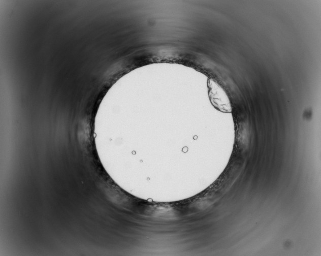 X0000103440715200810241121