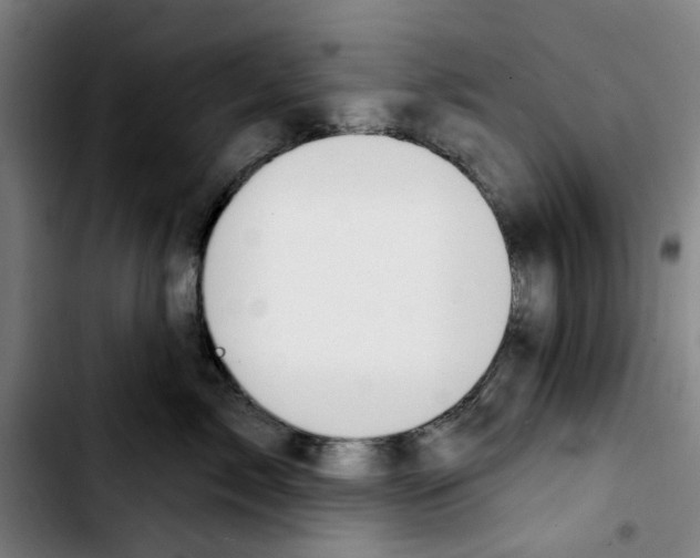 X0000103440717200810241121