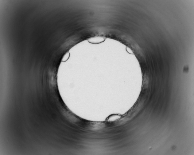 X0000103440719200810241121