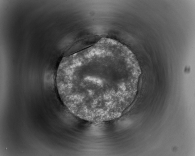X0000103440720200810241121