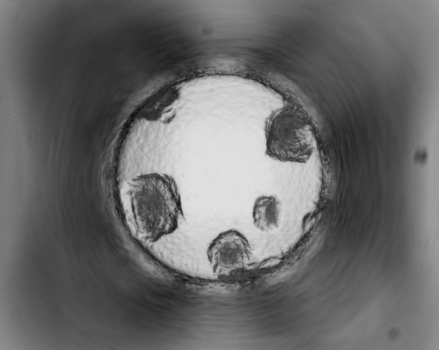 X0000103440721200810241121