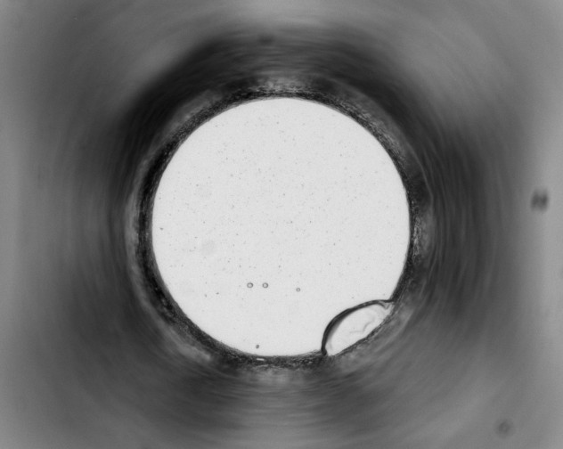 X0000103440722200810241121