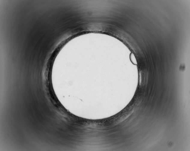 X0000103440723200810241121