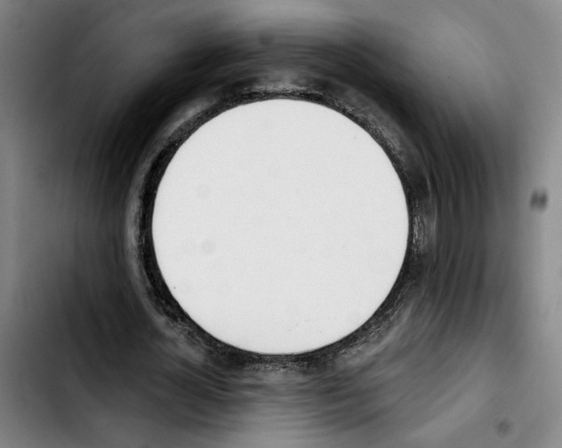 X0000103440724200810241121
