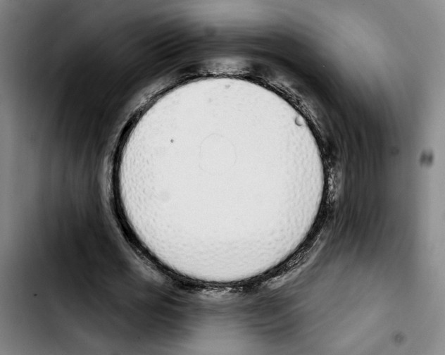 X0000103440725200810241121