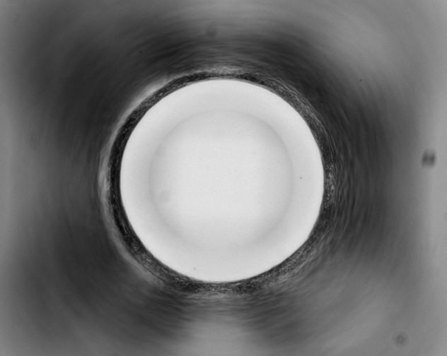 X0000103440726200810241121