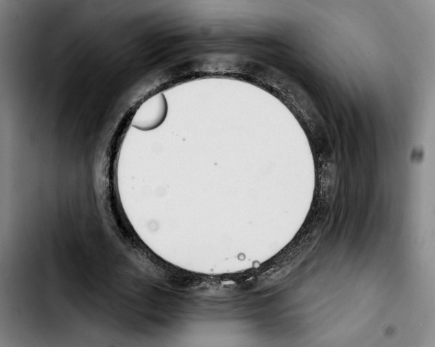 X0000103440727200810241121