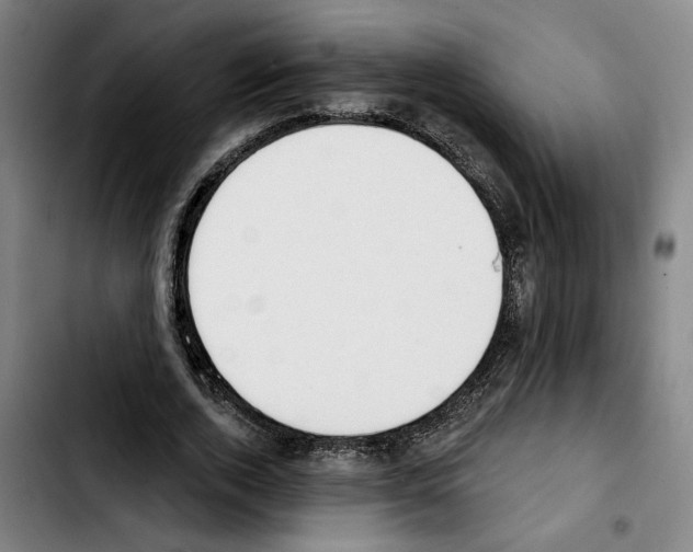 X0000103440728200810241121
