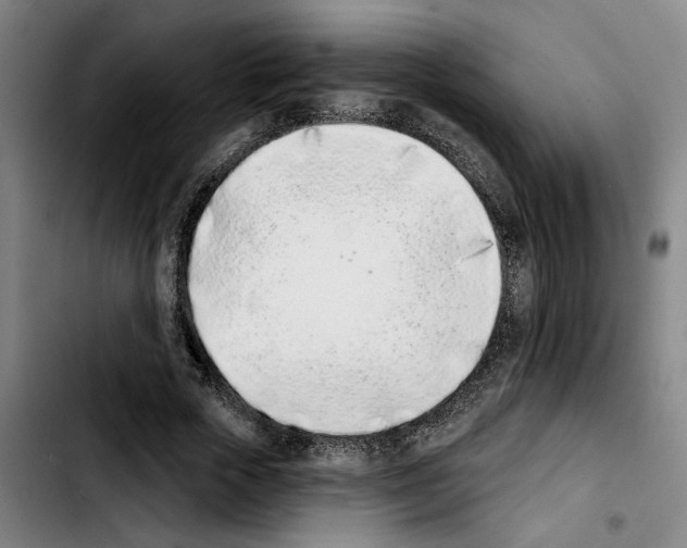 X0000103440729200810241121