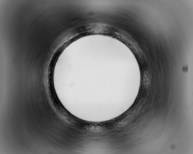 X0000103440730200810241121