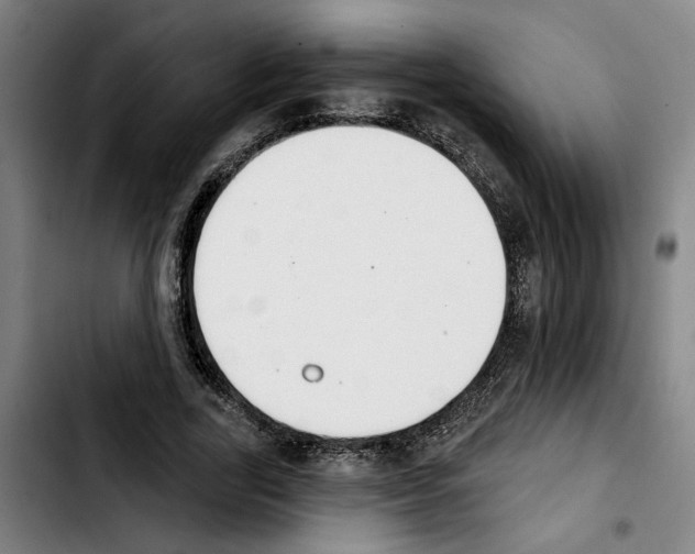 X0000103440731200810241121